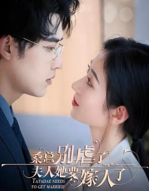 电视剧封面：人世间